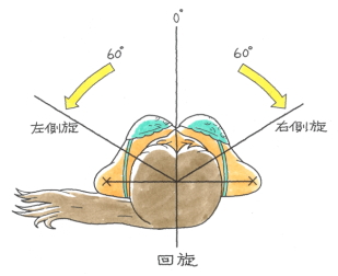 評価および測定2